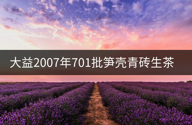 大益2007年701批筍殼青磚生茶開(kāi)湯 大益2007年701批筍殼青磚生茶開(kāi)湯