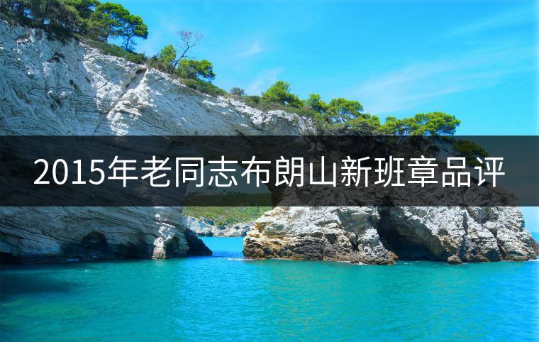 2015年老同志布朗山新班章品評(píng) 2015年老同志布朗山新班章品評(píng)