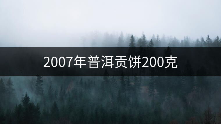 2007年普洱貢餅200克 2007年普洱貢餅200克