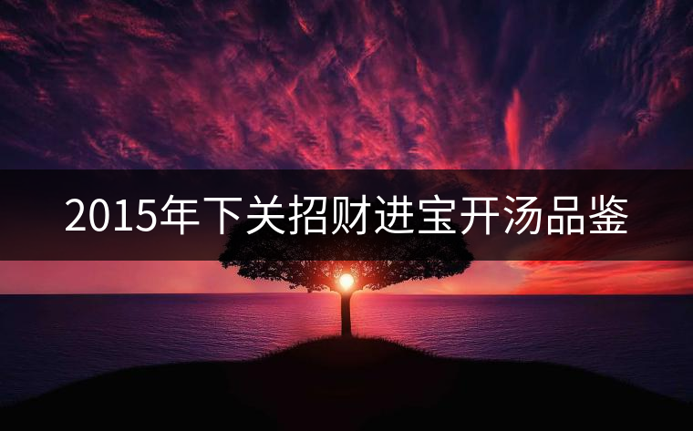 2015年下關(guān)招財(cái)進(jìn)寶開湯品鑒