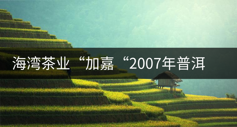 海灣茶業(yè)“加嘉“2007年普洱方磚（生茶）品評(píng)