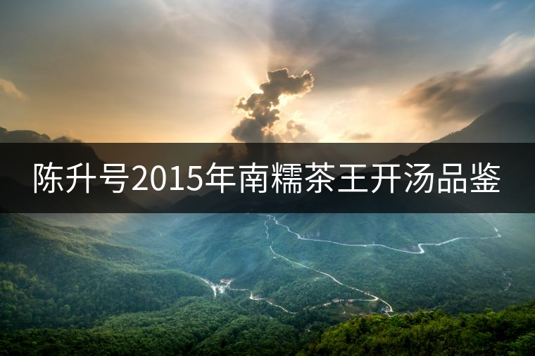 陳升號2015年南糯茶王開湯品鑒