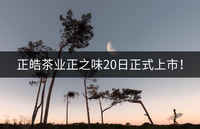 正皓茶業(yè)正之味20日正式上市！