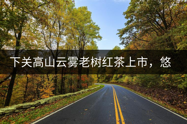 下關(guān)高山云霧老樹紅茶上市，悠悠春茶香