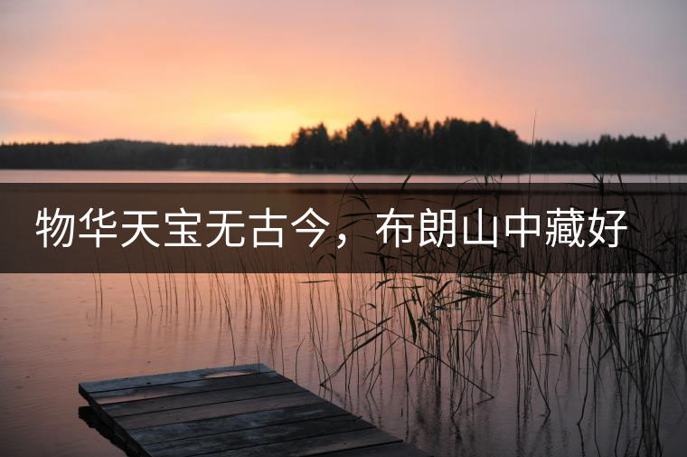 物華天寶無古今，布朗山中藏好茶