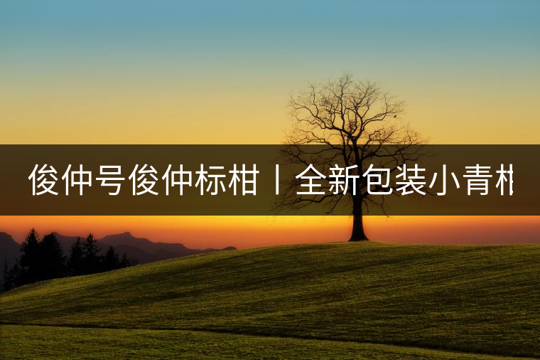 俊仲號(hào)俊仲標(biāo)柑丨全新包裝小青柑震撼上市！
