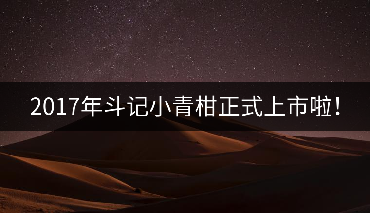 2017年斗記小青柑正式上市啦！