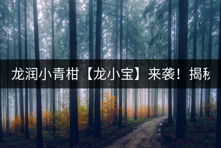 龍潤小青柑【龍小寶】來襲！揭秘它的前半生！