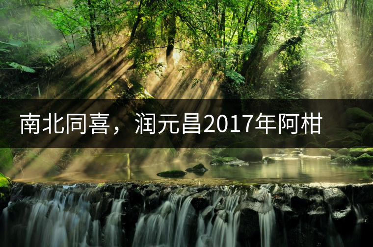 南北同喜，潤元昌2017年阿柑先生＆茶中鳳凰小青柑震撼來襲