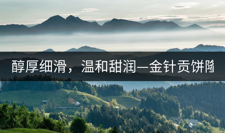醇厚細(xì)滑，溫和甜潤—金針貢餅隆重上市！