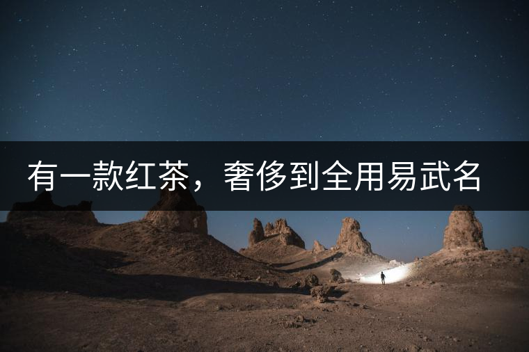 有一款紅茶，奢侈到全用易武名寨古樹茶發(fā)酵！