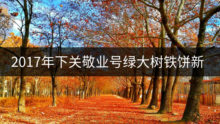 2017年下關(guān)敬業(yè)號(hào)綠大樹(shù)鐵餅新品上市