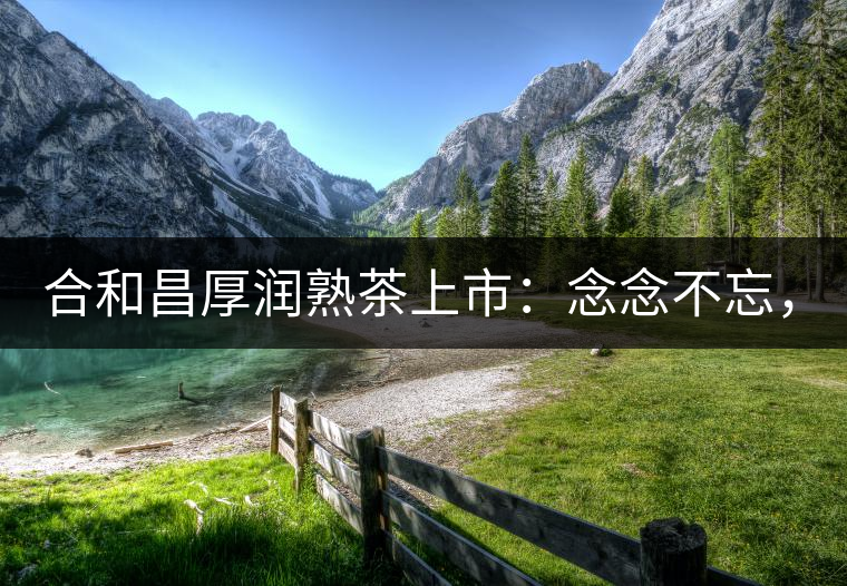 合和昌厚潤熟茶上市：念念不忘，必有回響！