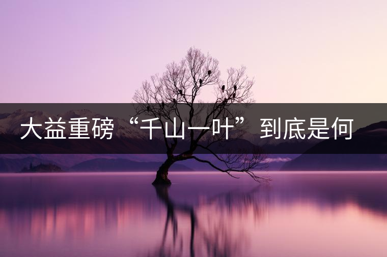 大益重磅“千山一葉”到底是何方神圣？