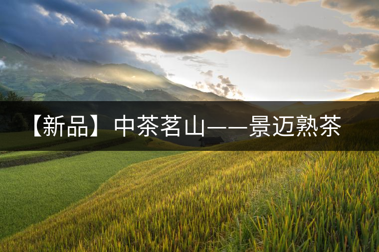 【新品】中茶茗山——景邁熟茶即將上市