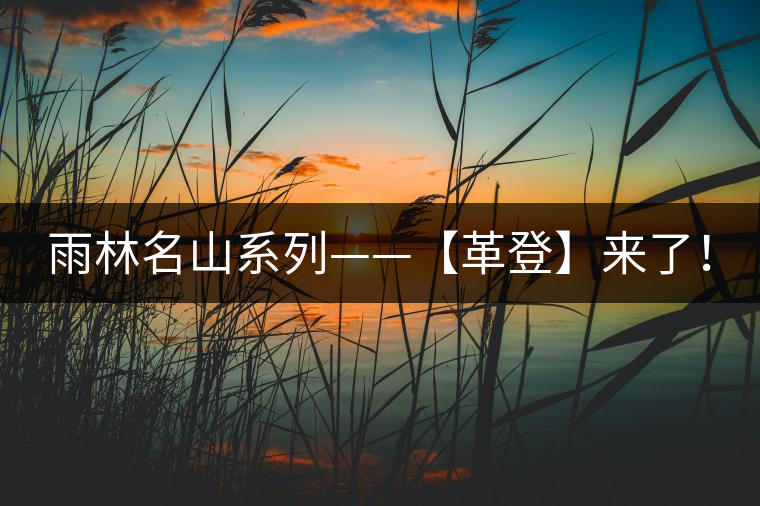 雨林名山系列——【革登】來(lái)了！