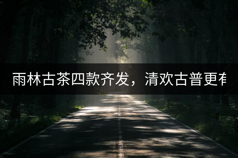 雨林古茶四款齊發(fā)，清歡古普更有味！