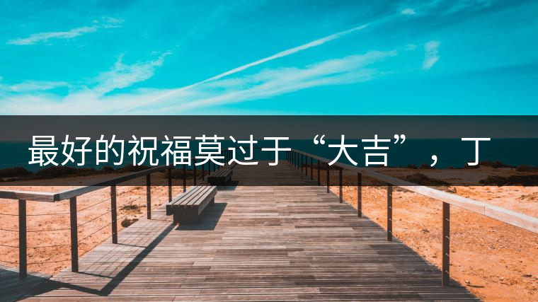 最好的祝福莫過于“大吉”，丁酉年生肖餅震撼來襲！