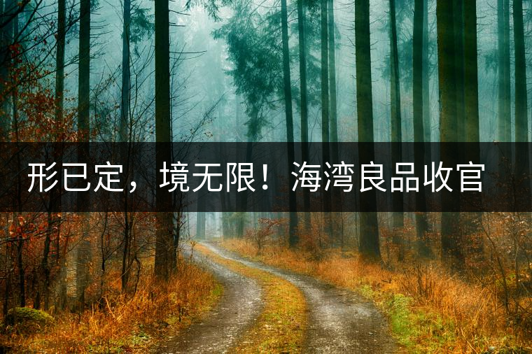 形已定，境無限！海灣良品收官季『良禪品』