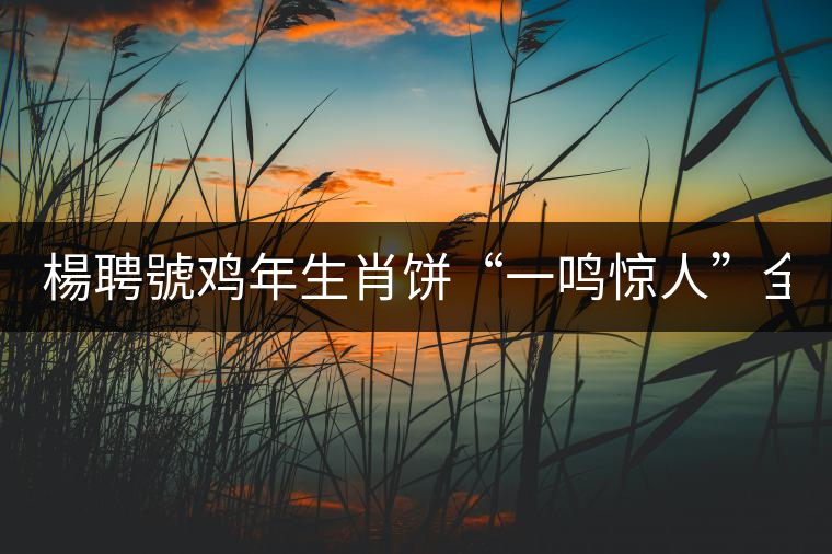 楊聘號(hào)雞年生肖餅“一鳴驚人”全國(guó)上市！