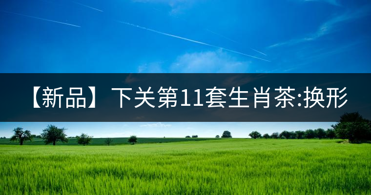 【新品】下關(guān)第11套生肖茶:換形 提質(zhì) 減量