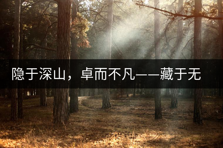 隱于深山，卓而不凡——藏于無(wú)量余脈的困鹿貢香