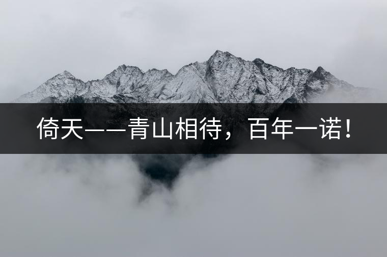 倚天——青山相待，百年一諾！