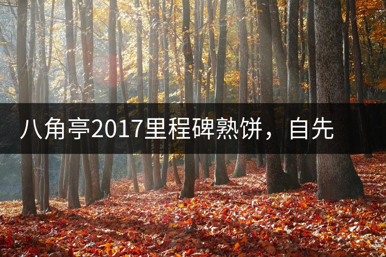 八角亭2017里程碑熟餅，自先發(fā)酵而后愛(ài)人