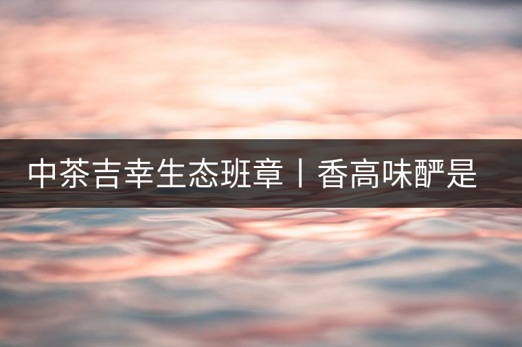 中茶吉幸生態(tài)班章丨香高味釅是王者，且品且珍惜