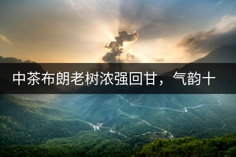 中茶布朗老樹(shù)濃強(qiáng)回甘，氣韻十足