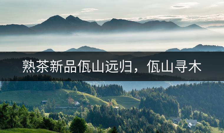 熟茶新品佤山遠(yuǎn)歸，佤山尋木