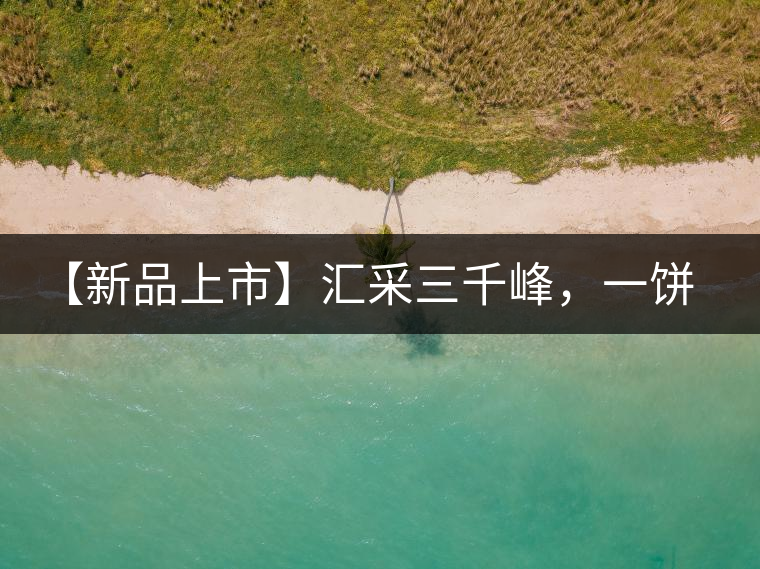 【新品上市】匯采三千峰，一餅群山鑄——群峰之峻！