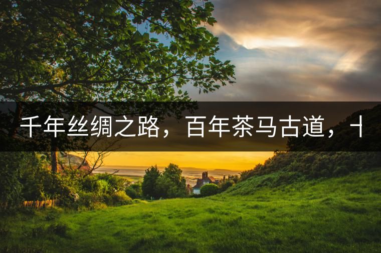 千年絲綢之路，百年茶馬古道，十年尋茶之旅，鑄造Puertea（十年紀(jì)念茶）