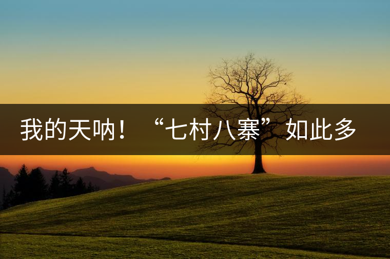 我的天吶！“七村八寨”如此多的易武茶，品質(zhì)特色如何分辨？