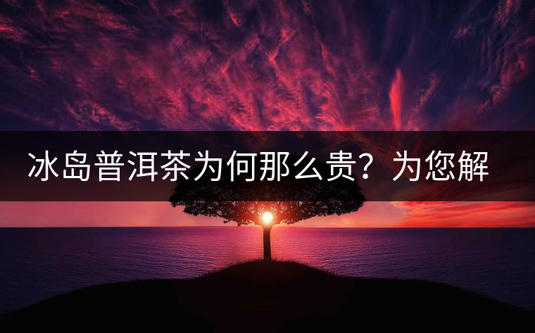 冰島普洱茶為何那么貴？為您解析其中的原由