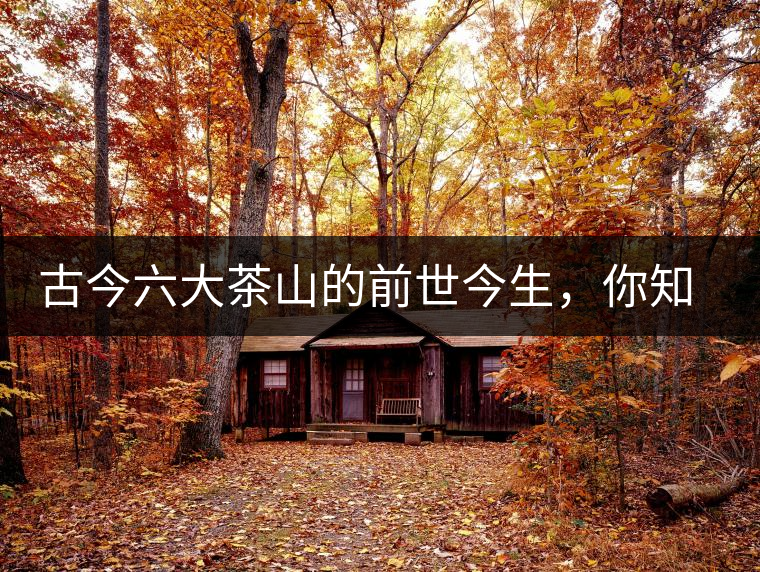 古今六大茶山的前世今生，你知多少？
