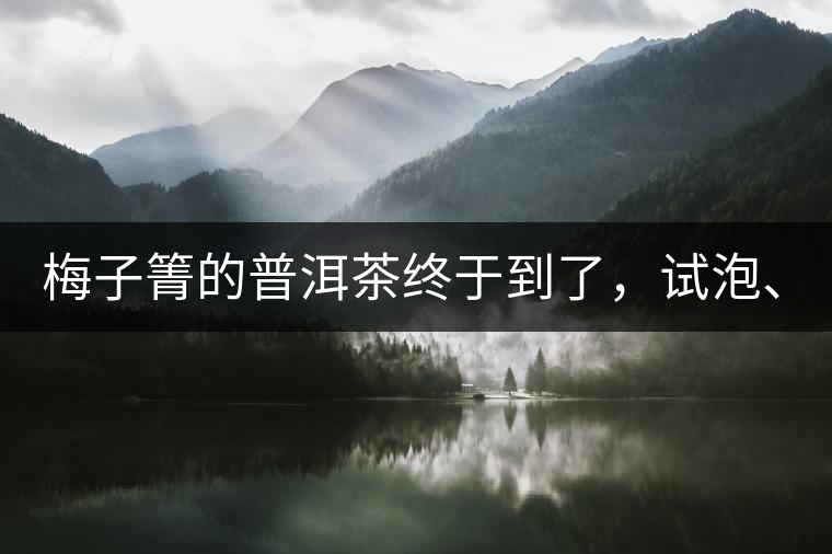 梅子箐的普洱茶終于到了，試泡、、、