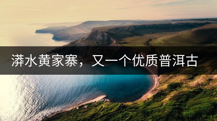 漭水黃家寨，又一個優(yōu)質(zhì)普洱古樹群落