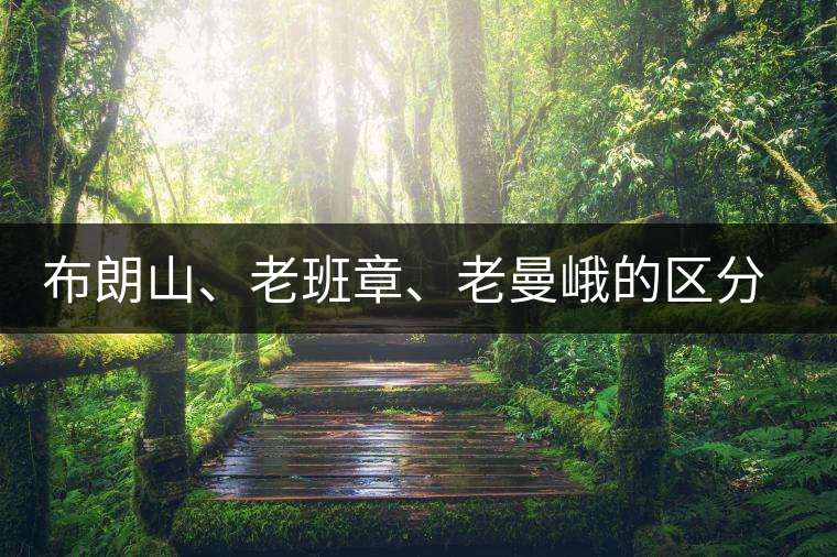 布朗山、老班章、老曼峨的區(qū)分和鑒別