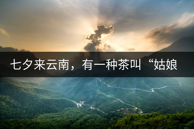 七夕來云南，有一種茶叫“姑娘茶”，也許你就能遇上