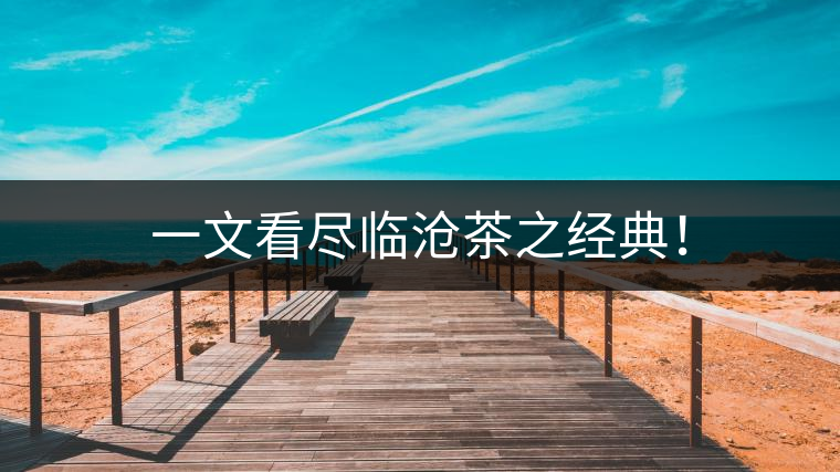 一文看盡臨滄茶之經(jīng)典！