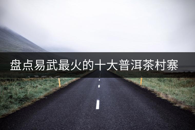 盤點(diǎn)易武最火的十大普洱茶村寨(排名不分先后) 盤點(diǎn)易武最火的十大普洱茶村寨(排名不分先后)