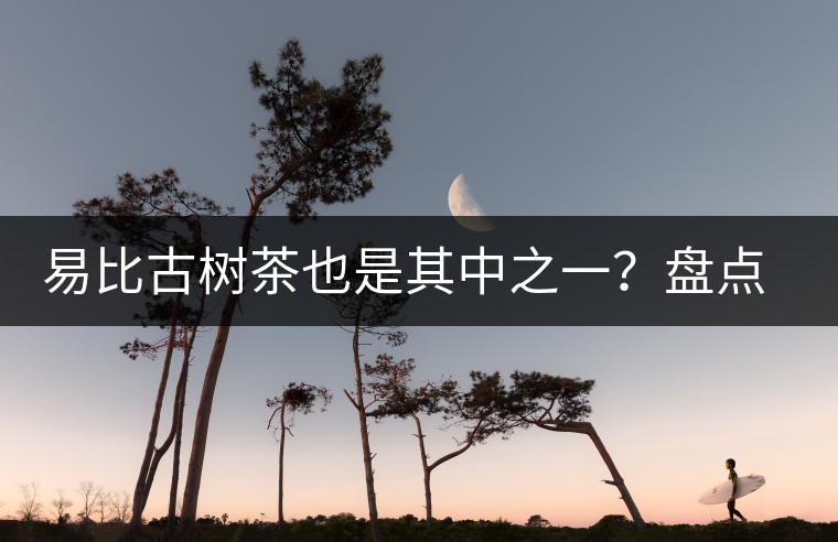 易比古樹茶也是其中之一？盤點(diǎn)當(dāng)下易武最火的十大古樹茶！
