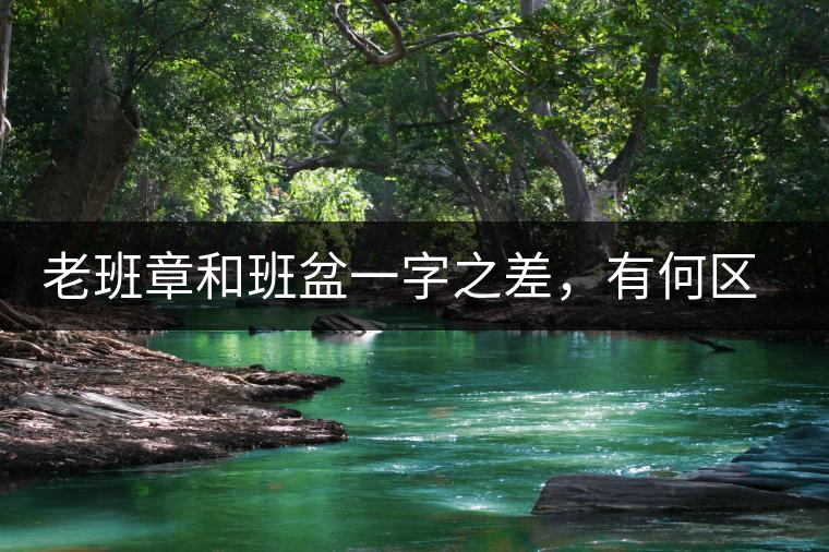 老班章和班盆一字之差，有何區(qū)別