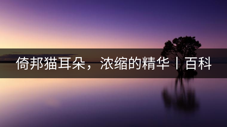 倚邦貓耳朵，濃縮的精華丨百科
