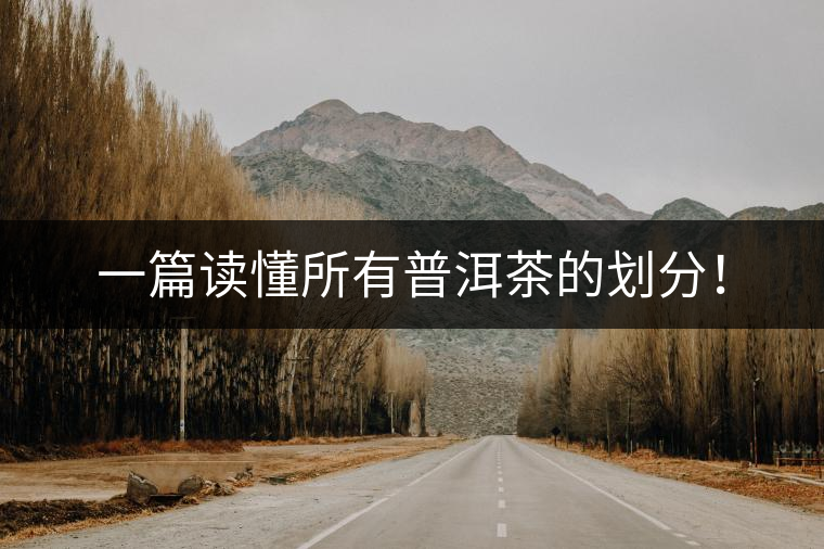 一篇讀懂所有普洱茶的劃分！