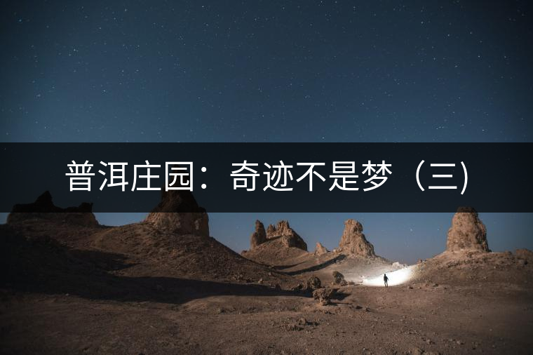 普洱莊園：奇跡不是夢(mèng)（三)