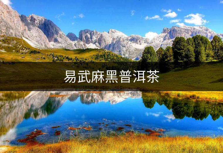 易武麻黑普洱茶