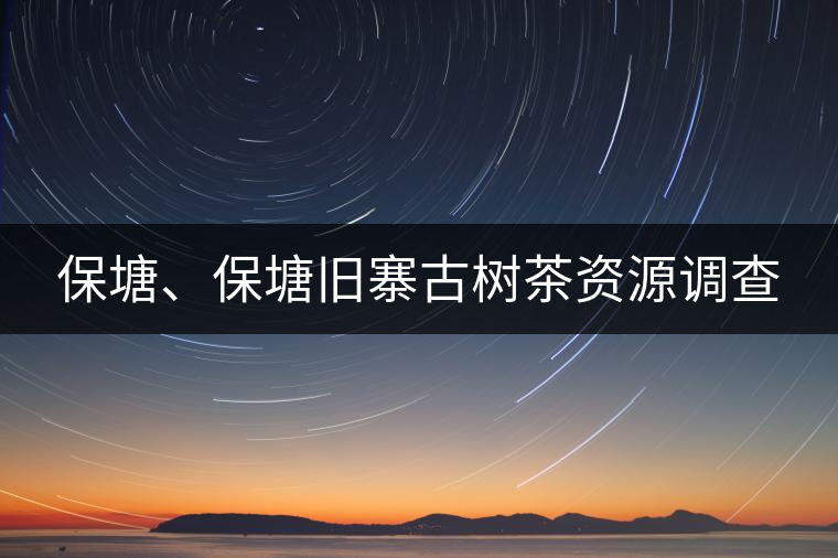 保塘、保塘舊寨古樹茶資源調(diào)查