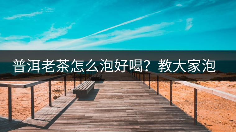 普洱老茶怎么泡好喝？教大家泡好一壺老茶詳細圖解